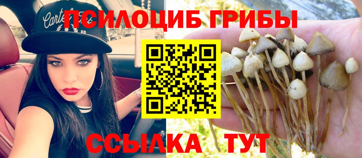 Галлюциногенные грибы прущие грибы Камышин