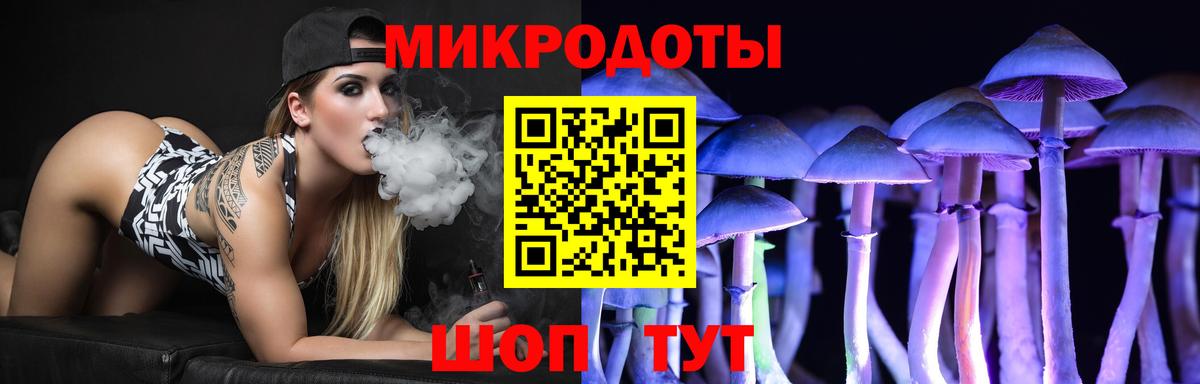 Псилоцибиновые грибы прущие грибы  Вход с VPN  Камышин 